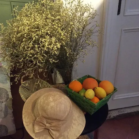 Διαμέρισμα Campo De' Fiori House